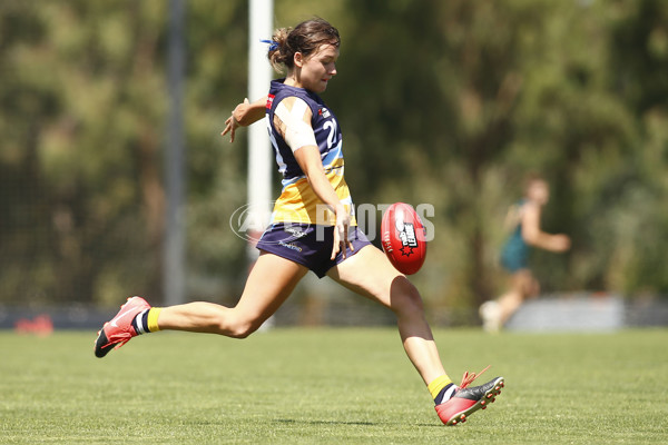 NAB League Girls 2022 - Bendigo Pioneers v Tasmania - 908145