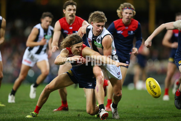 AFL 2021 Round 13 - Melbourne v Collingwood - 859702