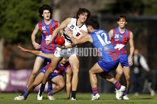NAB League Boys 2021 - Oakleigh v Northern Knights - 860376