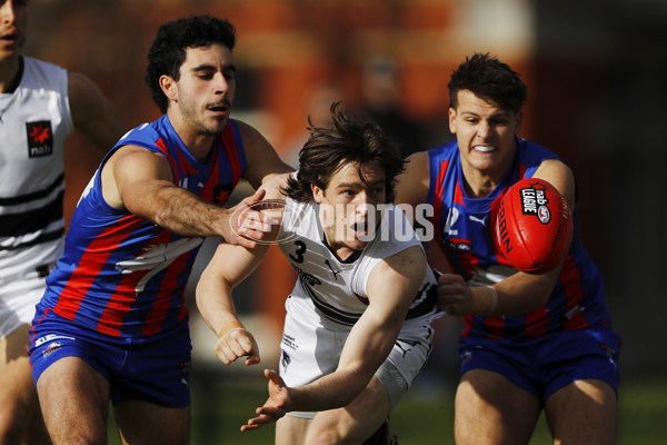 NAB League Boys 2021 - Oakleigh v Northern Knights - 860375