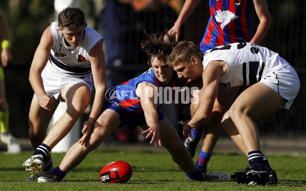 NAB League Boys 2021 - Oakleigh v Northern Knights - 860383