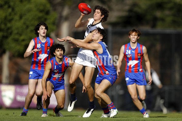 NAB League Boys 2021 - Oakleigh v Northern Knights - 860377