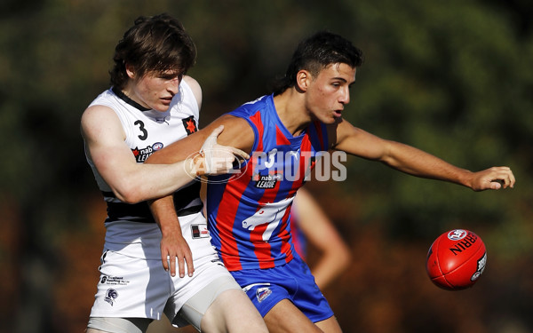 NAB League Boys 2021 - Oakleigh v Northern Knights - 860403