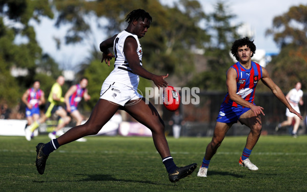 NAB League Boys 2021 - Oakleigh v Northern Knights - 861040