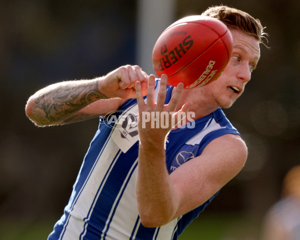 VFL 2021 Round 11 - North Melbourne v Werribee - 863042