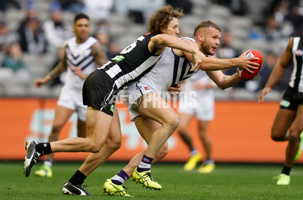 AFL 2021 Round 15 - Collingwood v Fremantle - 863096