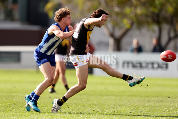 VFL 2021 Round 11 - North Melbourne v Werribee - 863101