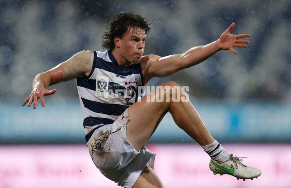 VFL Round 12 - Geelong v Essendon - 865477