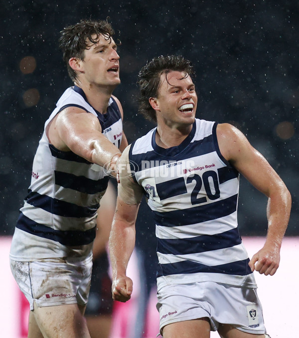 VFL Round 12 - Geelong v Essendon - 865461