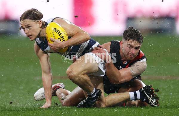 VFL Round 12 - Geelong v Essendon - 865473