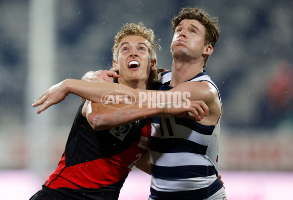 VFL Round 12 - Geelong v Essendon - 865453