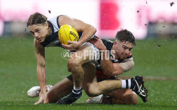 VFL Round 12 - Geelong v Essendon - 865471