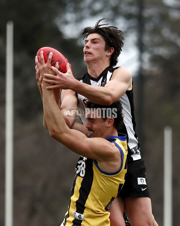 VFL Round 12 - Collingwood v Sandringham - 866824