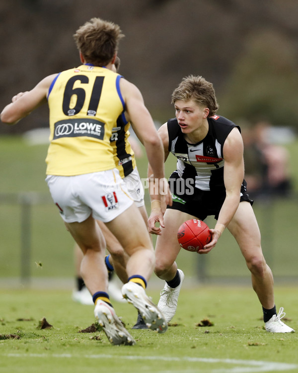 VFL Round 12 - Collingwood v Sandringham - 866900