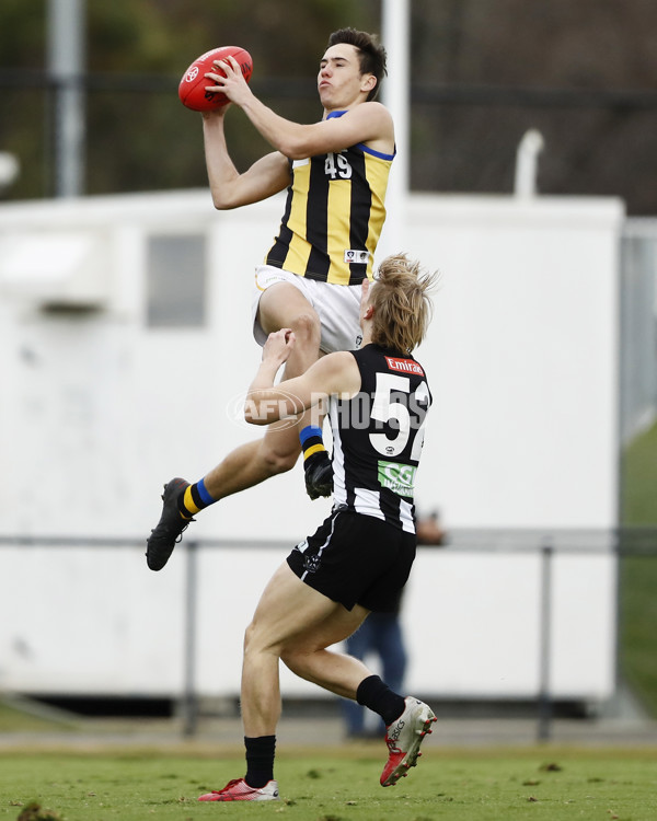 VFL Round 12 - Collingwood v Sandringham - 866899