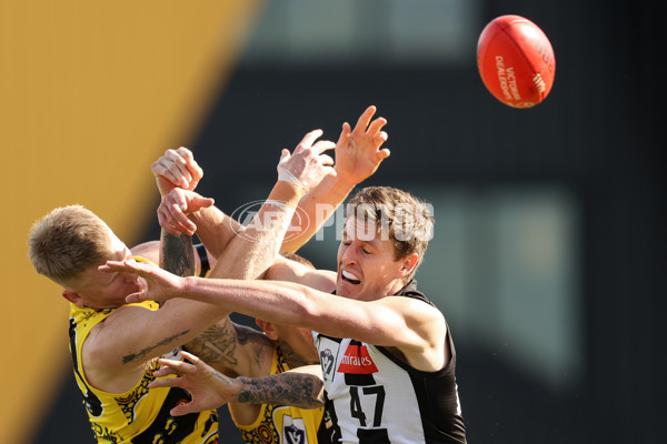 VFL 2021 Round 13 - Richmond v Collingwood - 869499