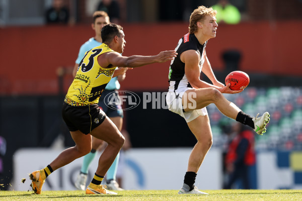 VFL 2021 Round 13 - Richmond v Collingwood - 869567