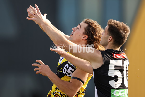 VFL 2021 Round 13 - Richmond v Collingwood - 869486