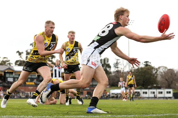 VFL 2021 Round 13 - Richmond v Collingwood - 869718