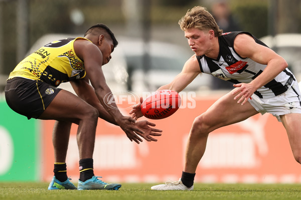 VFL 2021 Round 13 - Richmond v Collingwood - 869708