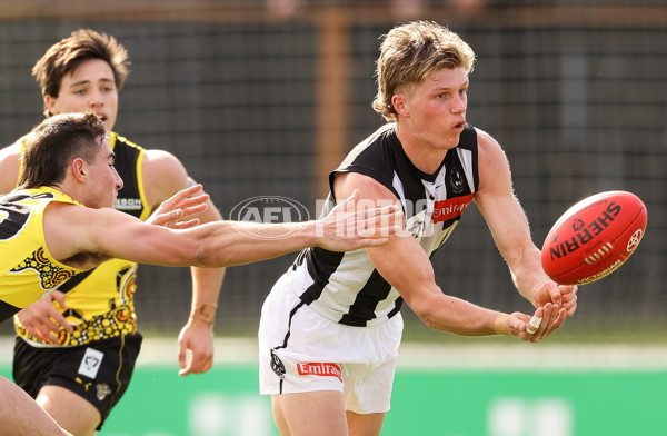 VFL 2021 Round 13 - Richmond v Collingwood - 870251