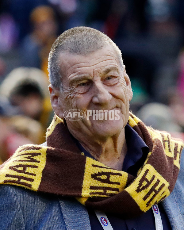 AFLW 2022 S7 Round 02 - Hawthorn v St Kilda - 1002870