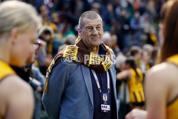 AFLW 2022 S7 Round 02 - Hawthorn v St Kilda - 1002869