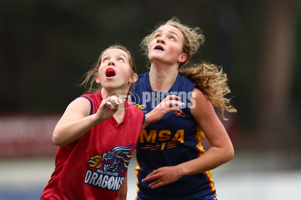 2022 Herald Sun Shield - Division 2 Grand Finals - 1003903