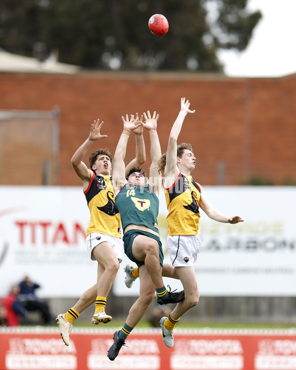 NAB League Boys 2022 Preliminary Final - Tasmania v Dandenong - 1004897