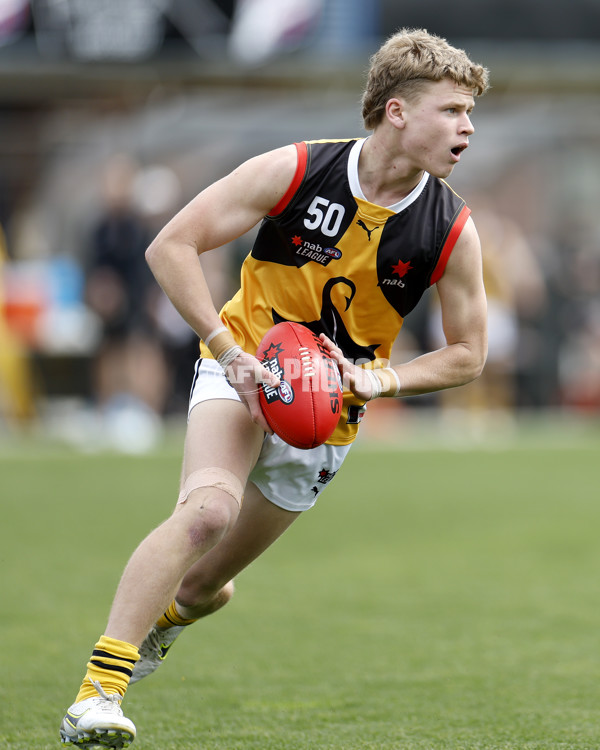 NAB League Boys 2022 Preliminary Final - Tasmania v Dandenong - 1004880