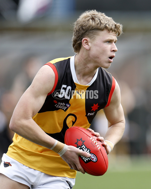 NAB League Boys 2022 Preliminary Final - Tasmania v Dandenong - 1004879