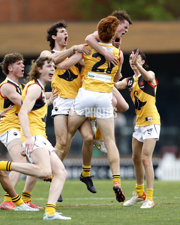 NAB League Boys 2022 Preliminary Final - Tasmania v Dandenong - 1004906