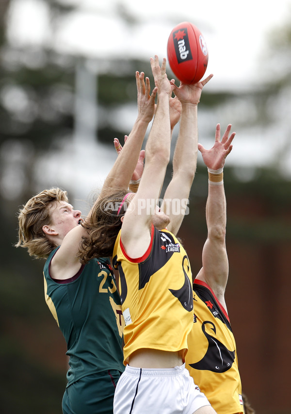 NAB League Boys 2022 Preliminary Final - Tasmania v Dandenong - 1004959