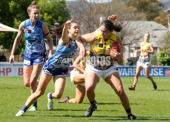 AFLW 2022 S7 Round 03 - Adelaide v North Melbourne - 1004972