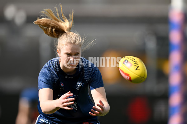 AFLW 2022 S7 Round 03 - Geelong v Collingwood - 1005125