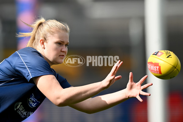 AFLW 2022 S7 Round 03 - Geelong v Collingwood - 1005124