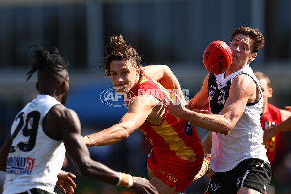 VFL 2022 Preliminary Final - Southport v Gold Coast - 1006058