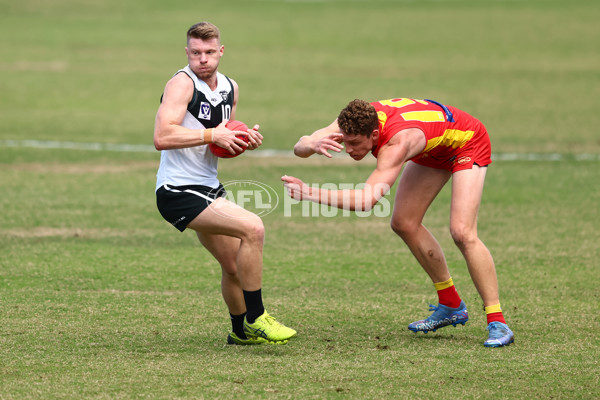 VFL 2022 Preliminary Final - Southport v Gold Coast - 1005954