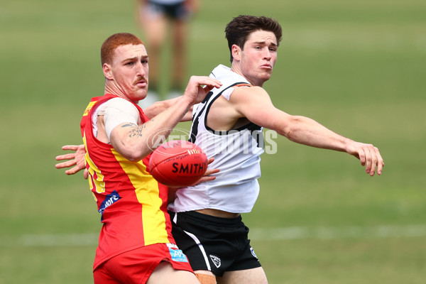 VFL 2022 Preliminary Final - Southport v Gold Coast - 1006059