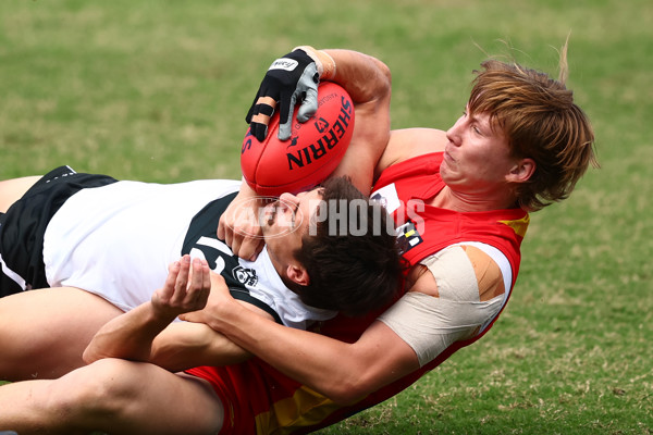 VFL 2022 Preliminary Final - Southport v Gold Coast - 1006060