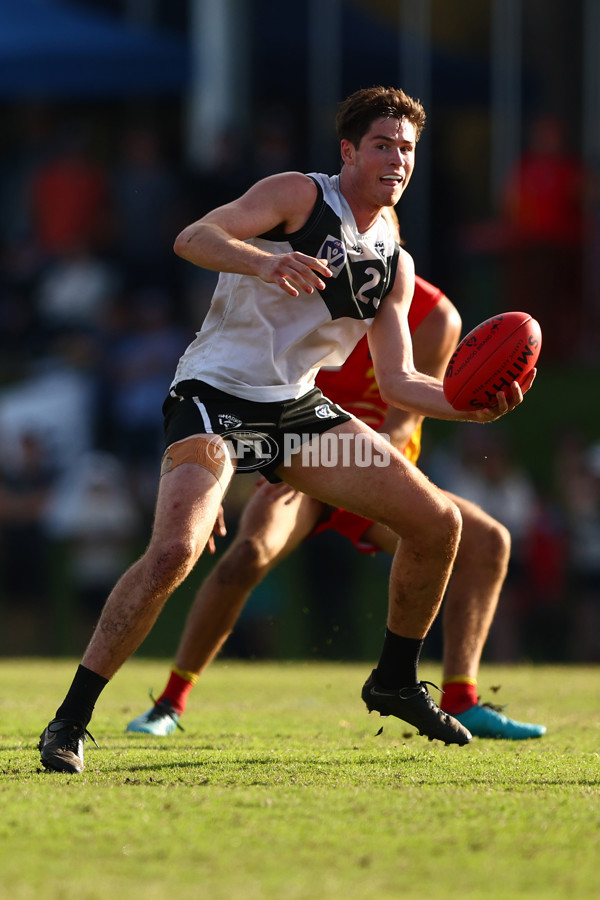 VFL 2022 Preliminary Final - Southport v Gold Coast - 1006333