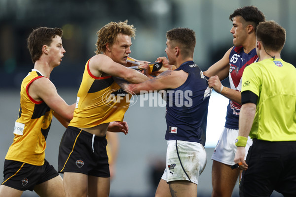 NAB League Boys 2022 Grand Final - Dandenong v Sandringham - 1007124