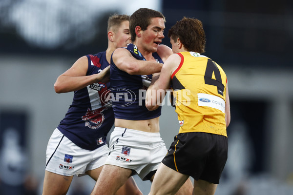 NAB League Boys 2022 Grand Final - Dandenong v Sandringham - 1007131