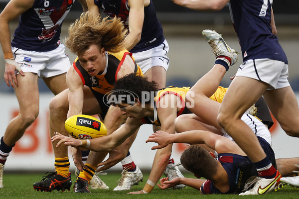 NAB League Boys 2022 Grand Final - Dandenong v Sandringham - 1007140