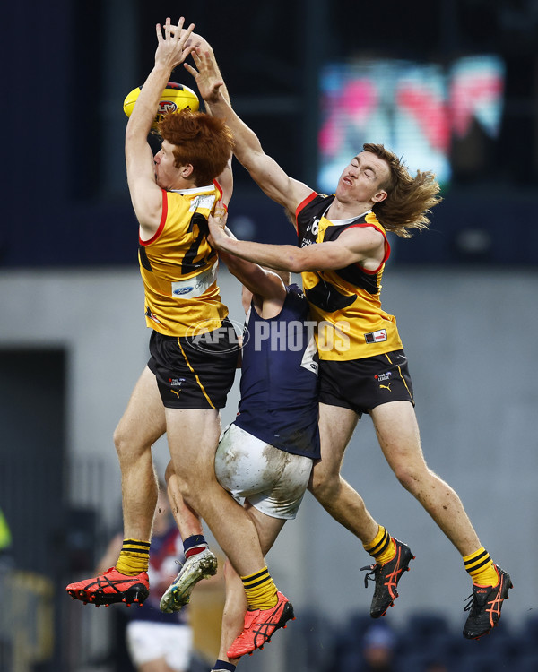 NAB League Boys 2022 Grand Final - Dandenong v Sandringham - 1007165