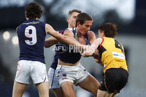 NAB League Boys 2022 Grand Final - Dandenong v Sandringham - 1007129