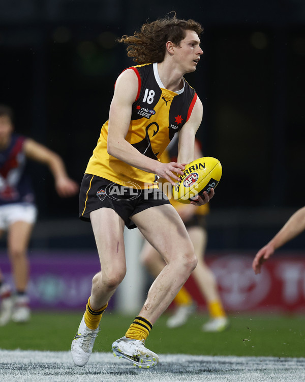 NAB League Boys 2022 Grand Final - Dandenong v Sandringham - 1007153