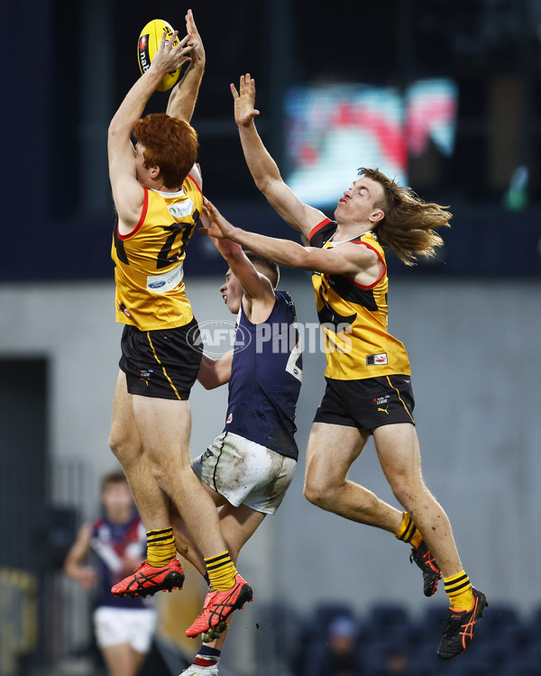 NAB League Boys 2022 Grand Final - Dandenong v Sandringham - 1007166