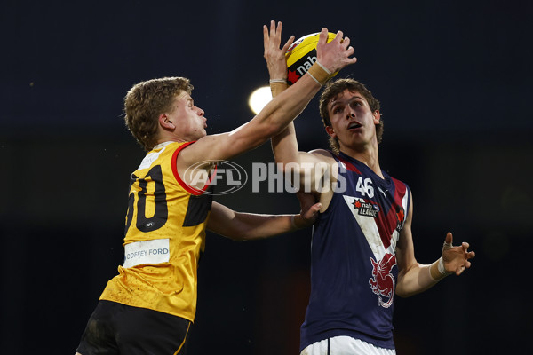 NAB League Boys 2022 Grand Final - Dandenong v Sandringham - 1007189