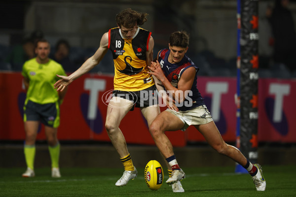 NAB League Boys 2022 Grand Final - Dandenong v Sandringham - 1007237